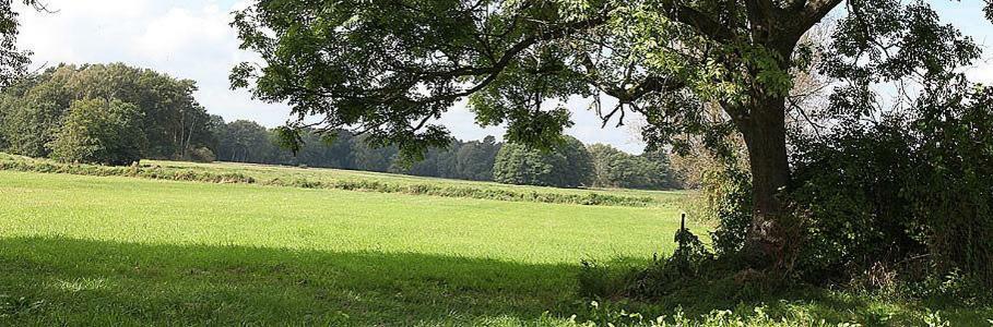 Pension & Gasthof Storchennest Gross Quassow Exterior foto